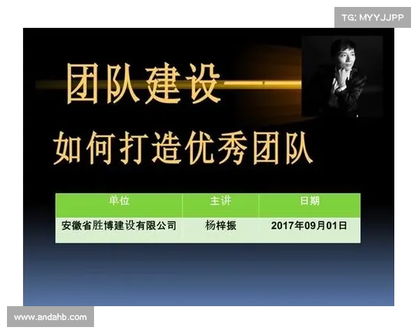 《维蒂尼亚成功之道：如何凝聚团队力量实现共同胜利》