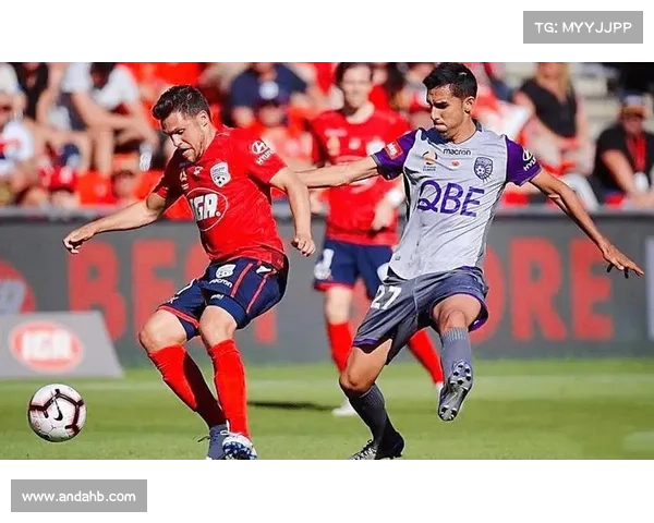 探讨澳洲杯赛事对参赛选手竞技水平提升与发展作用分析趋势及路径