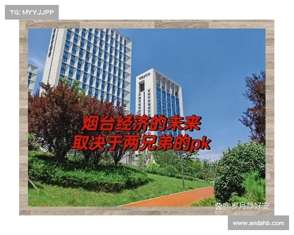 探索双羽天下经济增长新机遇引领未来发展新潮流